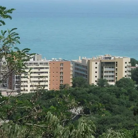 Debora Golden Sands